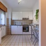 Guesthost - Pontelagoscuro Huge & Residential Apartman