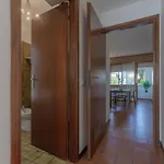 Apartman Guesthost - Pontelagoscuro Huge & Residential